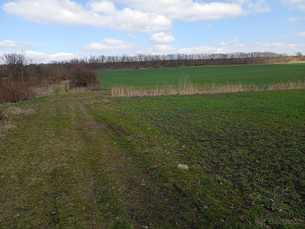 Zahrady, Chodovlice, 411 15