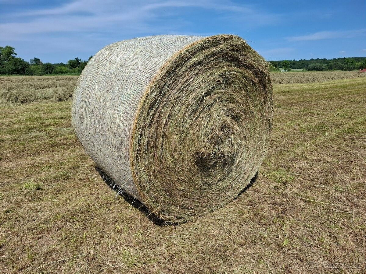 Pozemky pro bydlení, Dobruška, 518 01