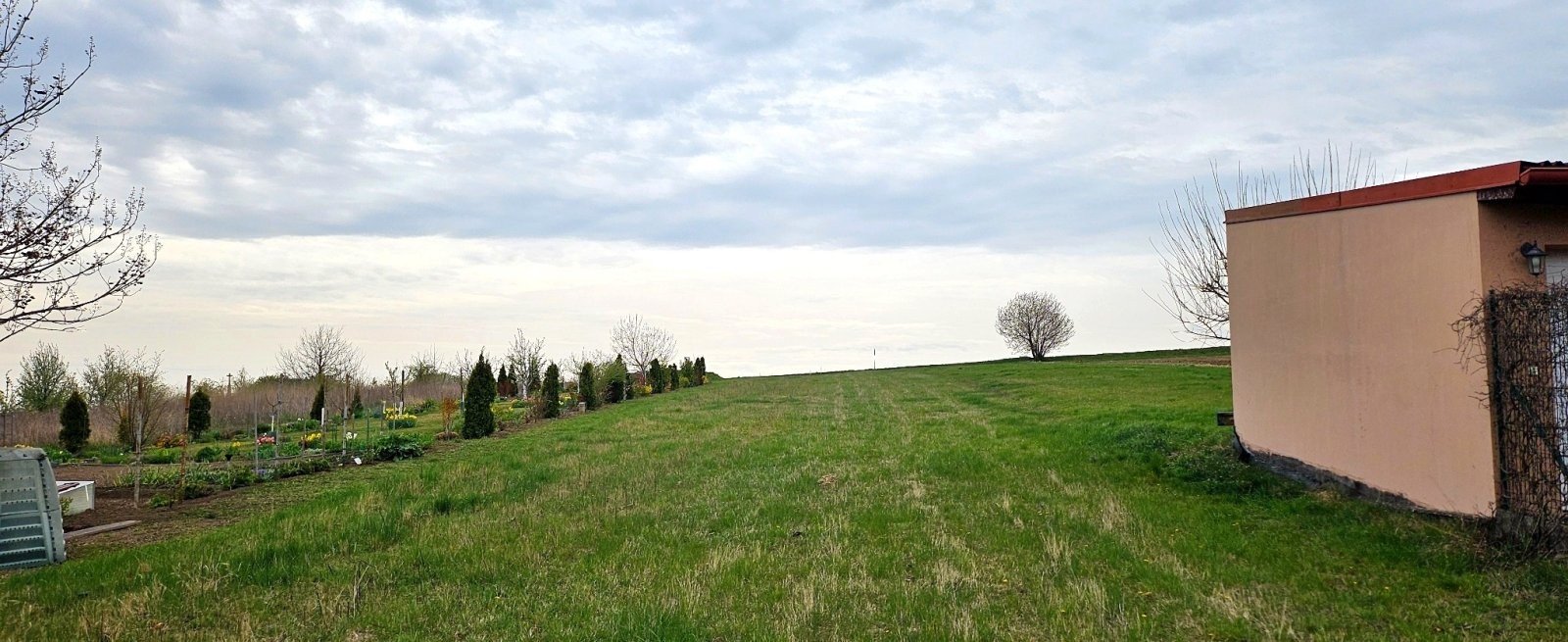 Prodej pozemek pro bydlení - Borkovany, 1 606 m² - 5