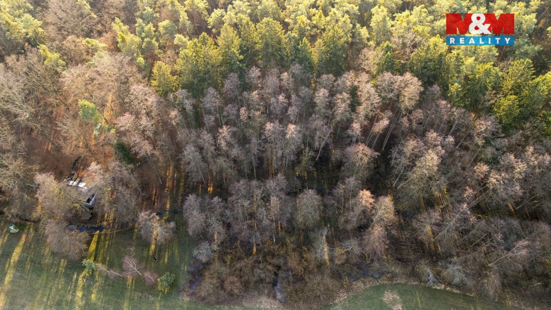 Prodej les - Štěpánovsko, Týniště nad Orlicí
