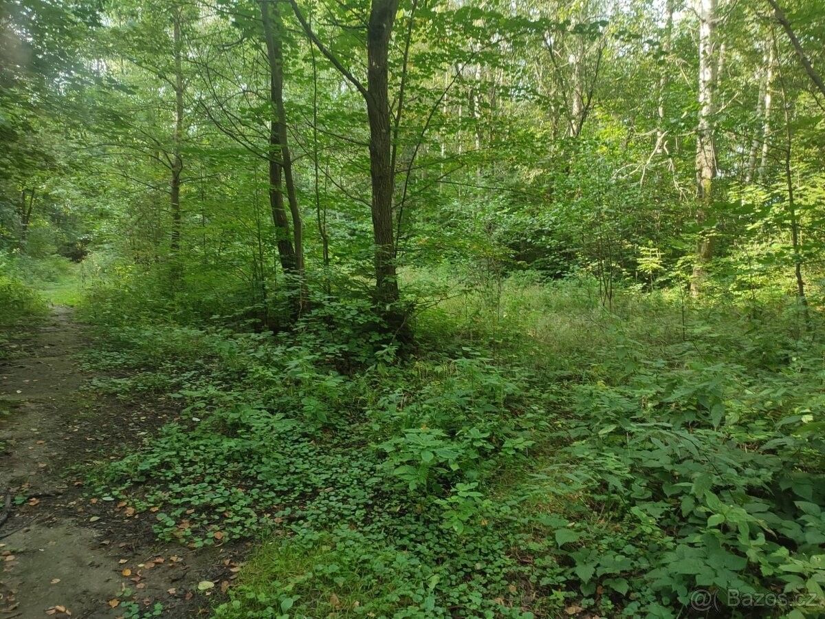 Pozemky pro bydlení, Jeseník, 790 01