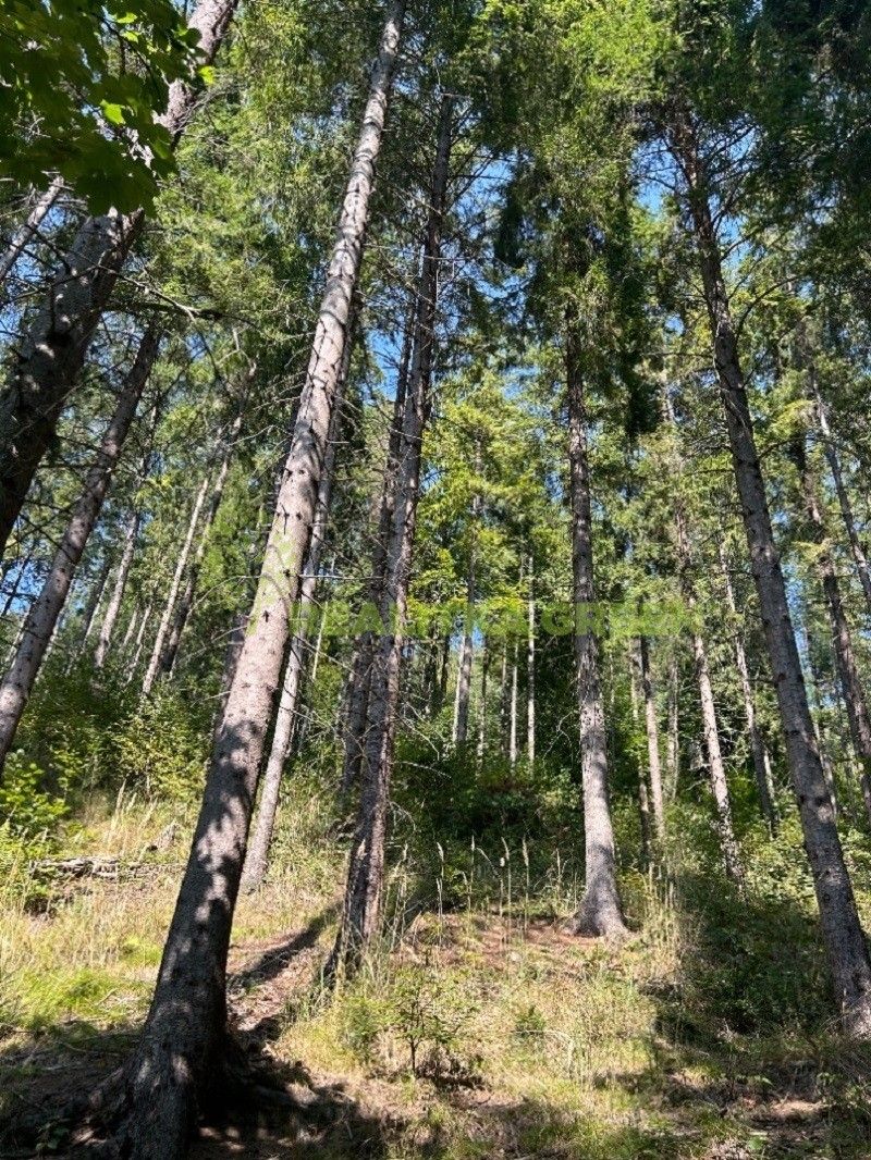 Lesy, Nýdek, 16 920 m²