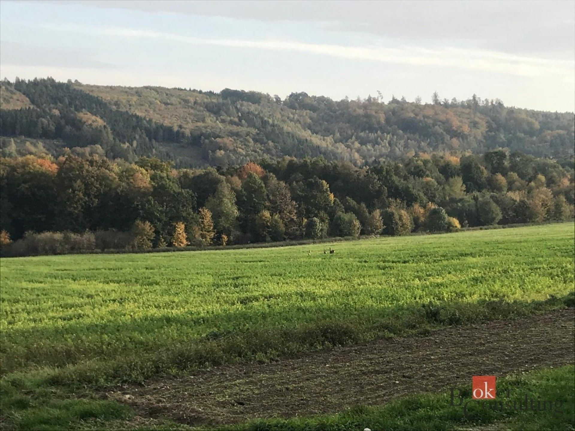 Pozemky pro bydlení, Čavisov, 1 395 m² - 1