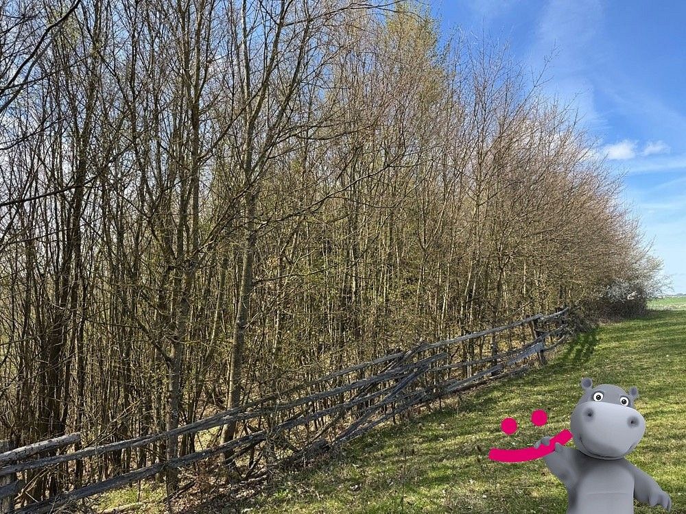 Lesy, Luhačovice, okres Zlín, Zlínský kraj - 2