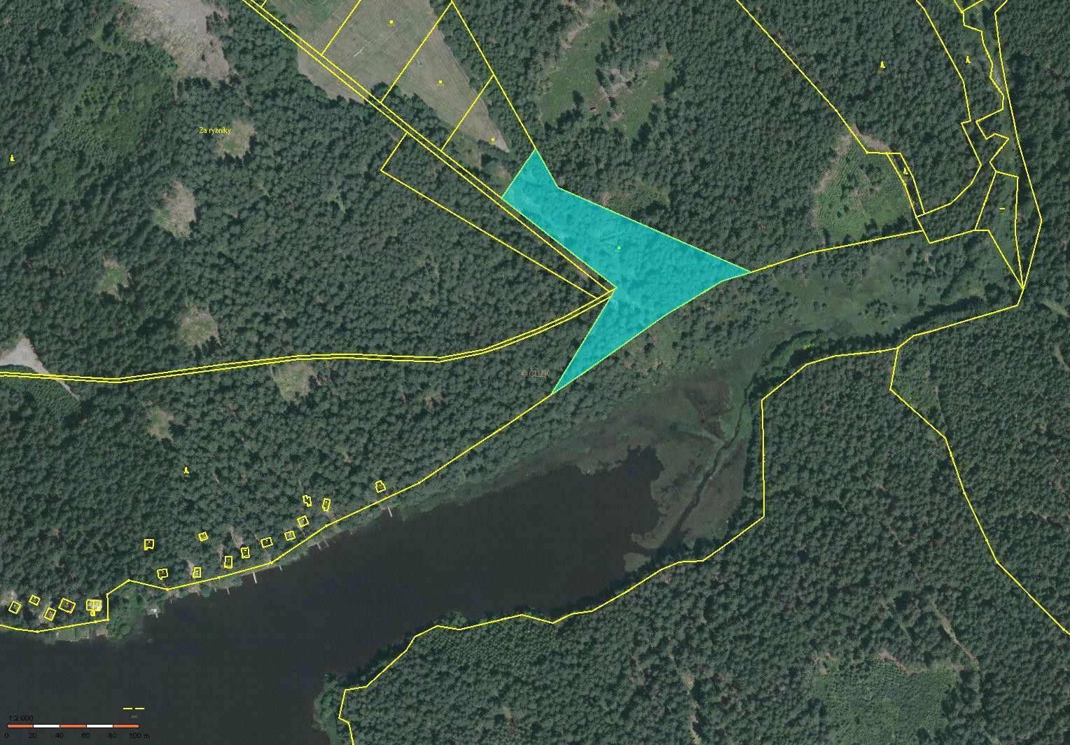 Louky, Blato, Nová Bystřice, 9 920 m² - 1
