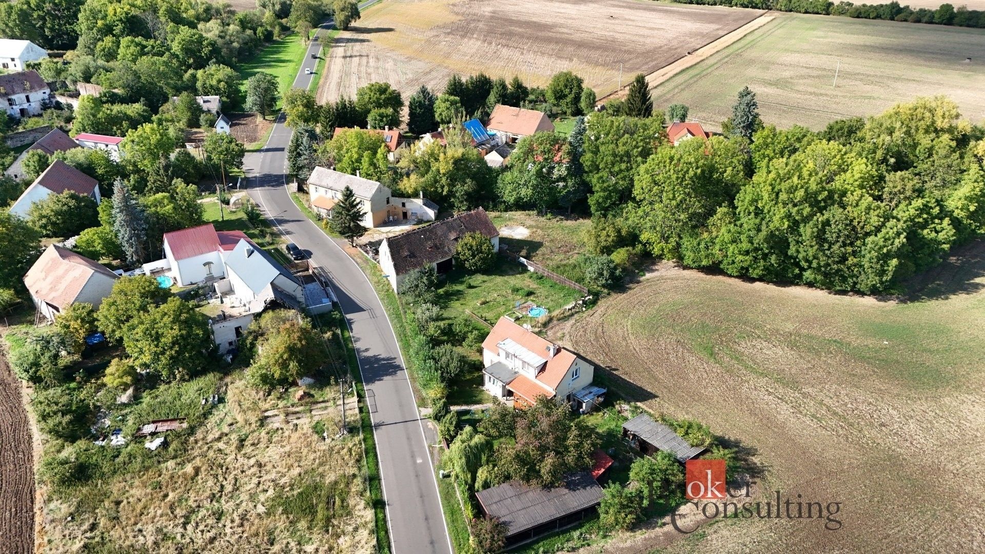 Zahrada · 1 225 m² · Němčany, Krásný Dvůr - 3