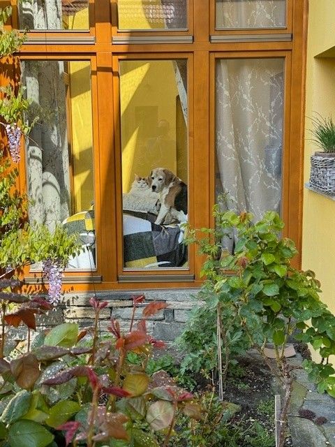 Prodej ostatní - Český Krumlov, 381 01 - 5