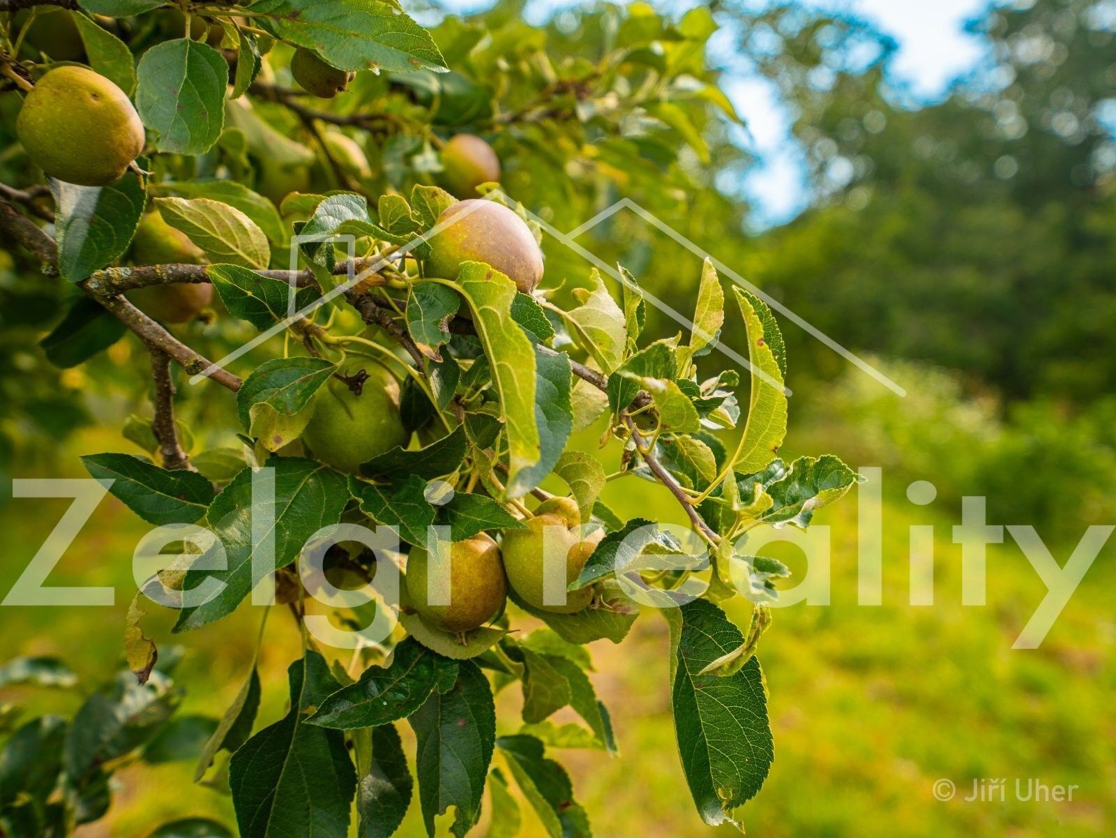 Ostatní, Mistřín, Svatobořice-Mistřín, 3 m²