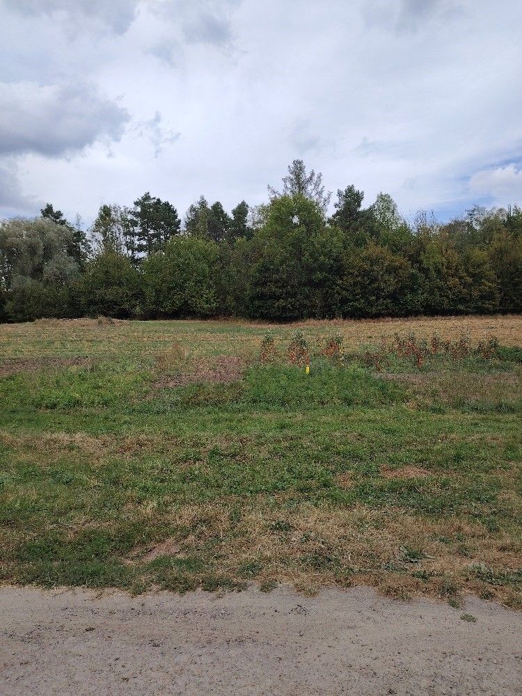 Pozemky pro bydlení, Koryčany, 768 05