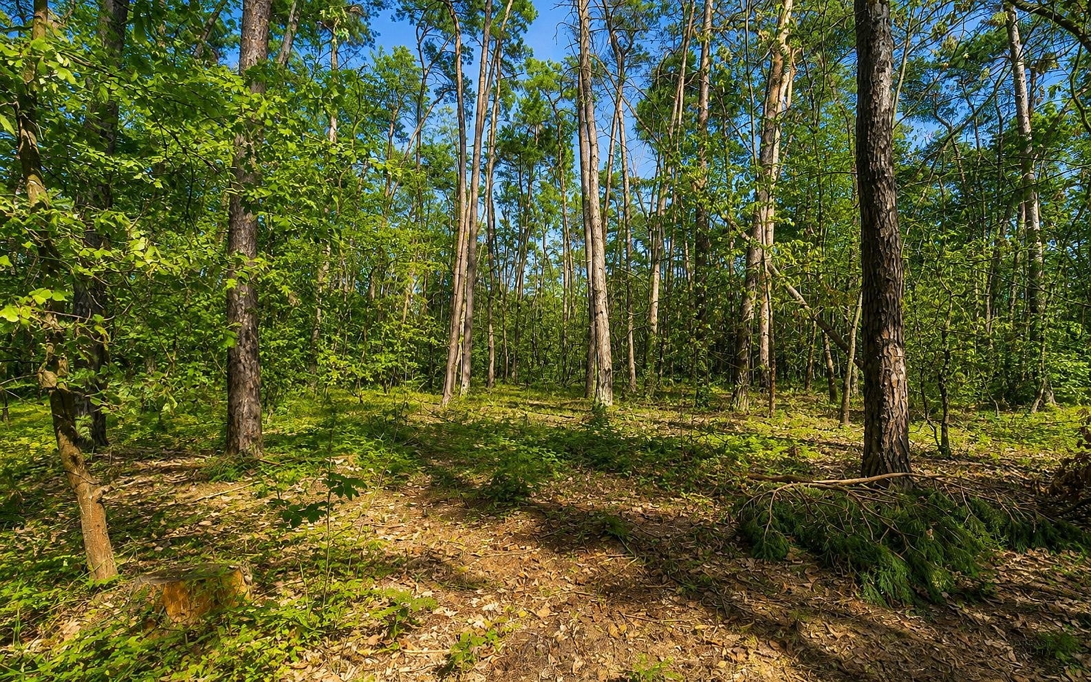 Pozemek pro bydlení · Kersko, Hradištko, okres Nymburk - 4