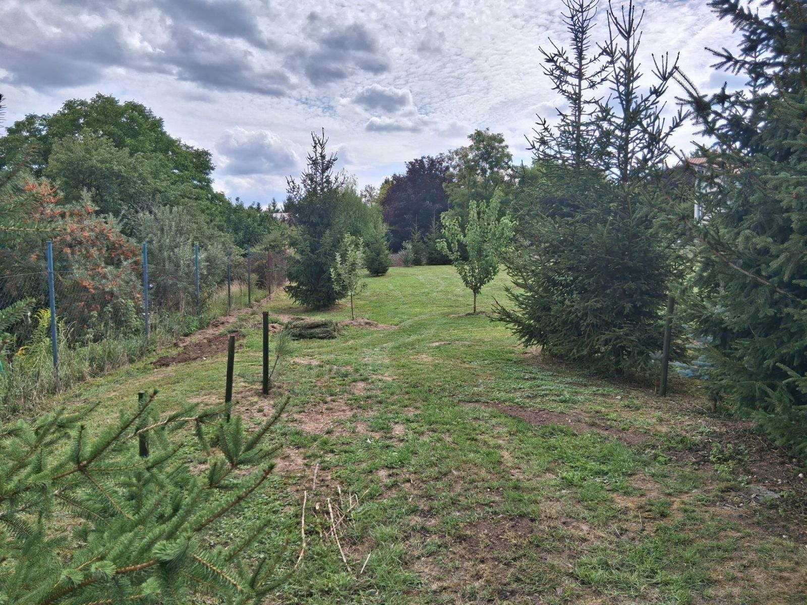Pozemky pro bydlení, Roztoky - Roztoky u Prahy, Středočeský kraj