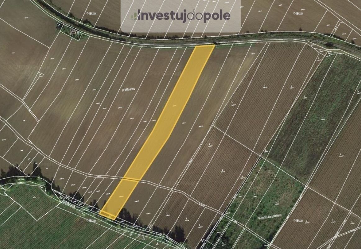 Prodej zemědělský pozemek - Mutějovice, 8 758 m²