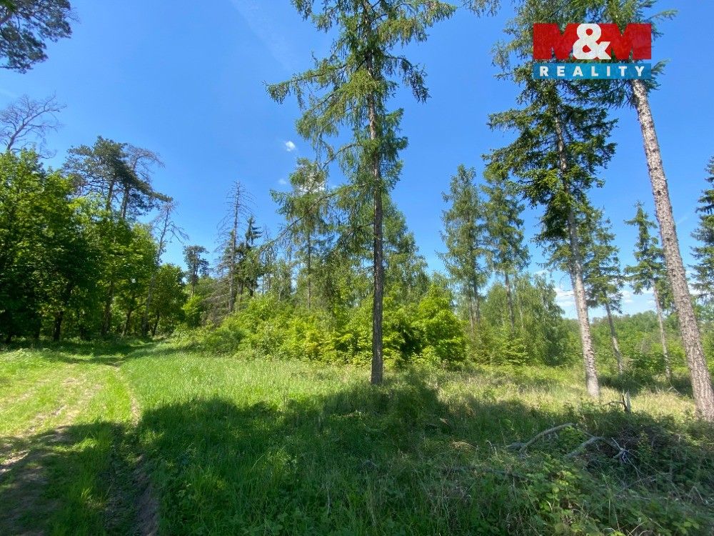 Stavební pozemek, Košátky – další