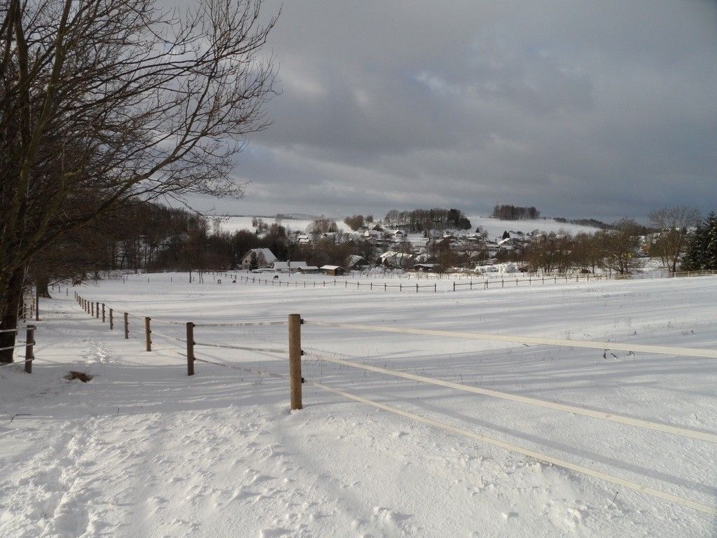 Prodej pozemek pro bydlení - Horní Branná, 512 36