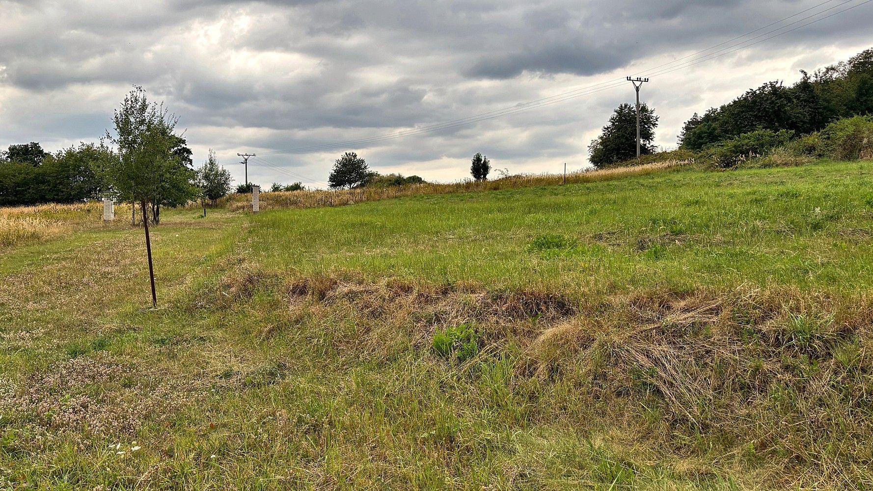 Prodej pozemek pro bydlení - Neveklov - Dalešice, okres Benešov, Středočeský kraj - 5