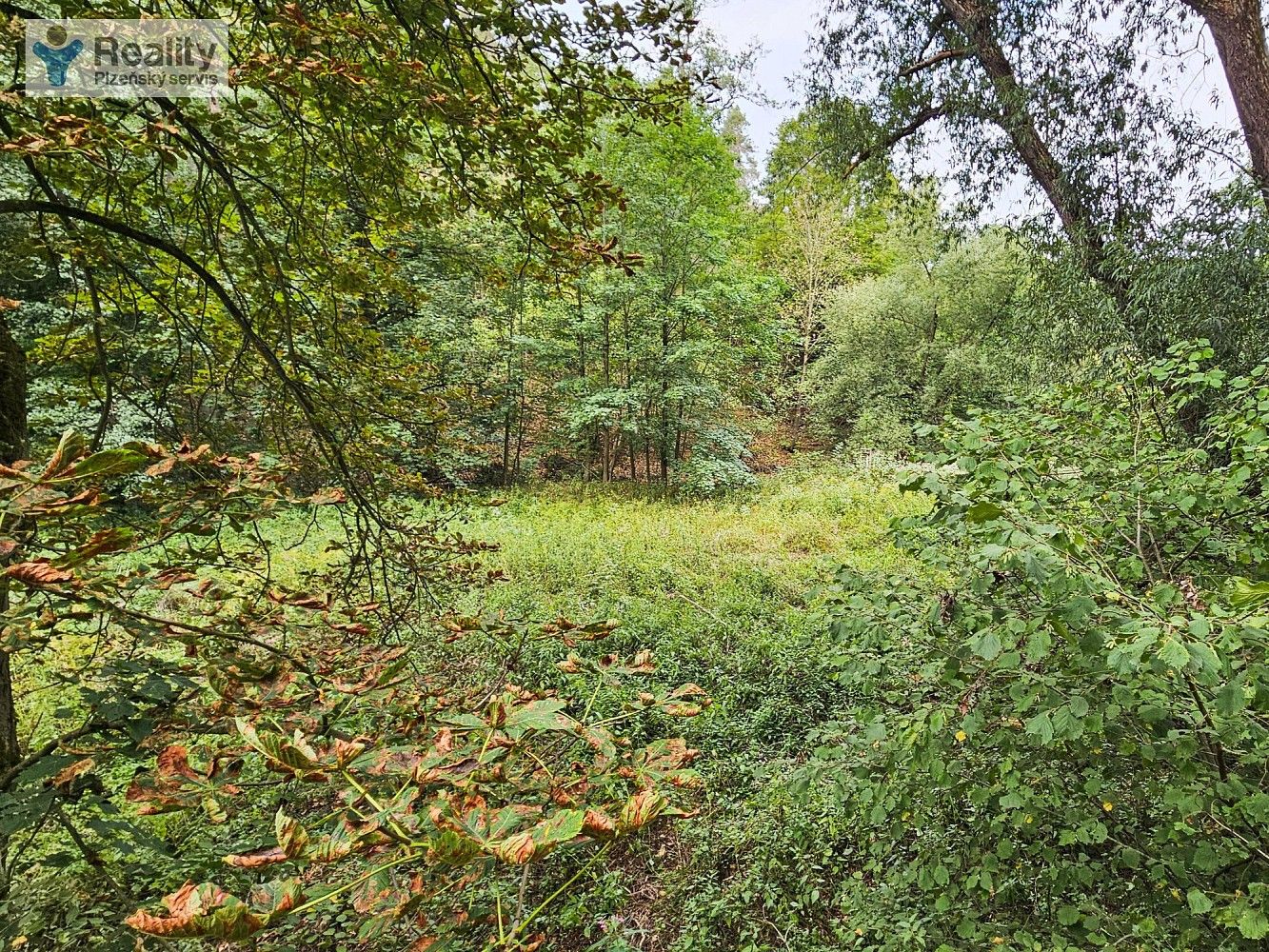 Prodej louka - Stříbro, okres Tachov, Plzeňský kraj - 5