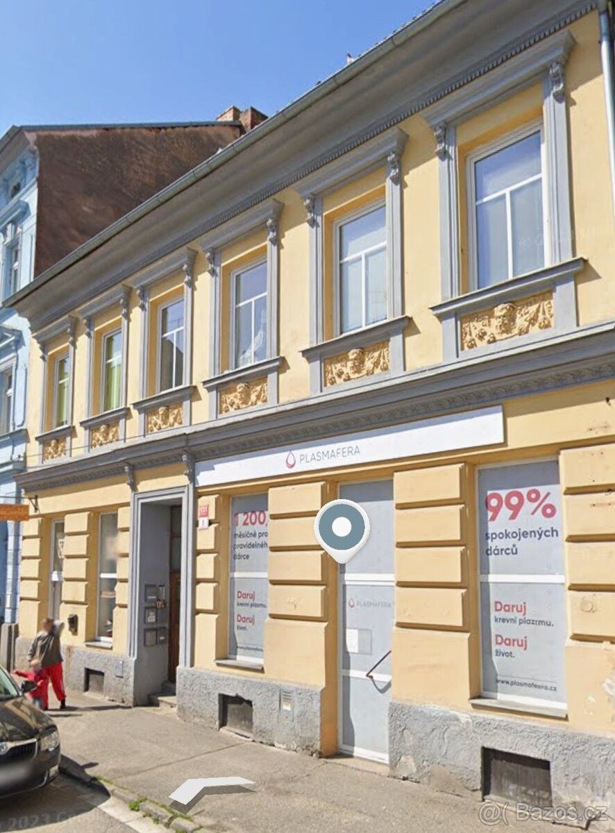 Obchodní prostory, České Budějovice, 370 07