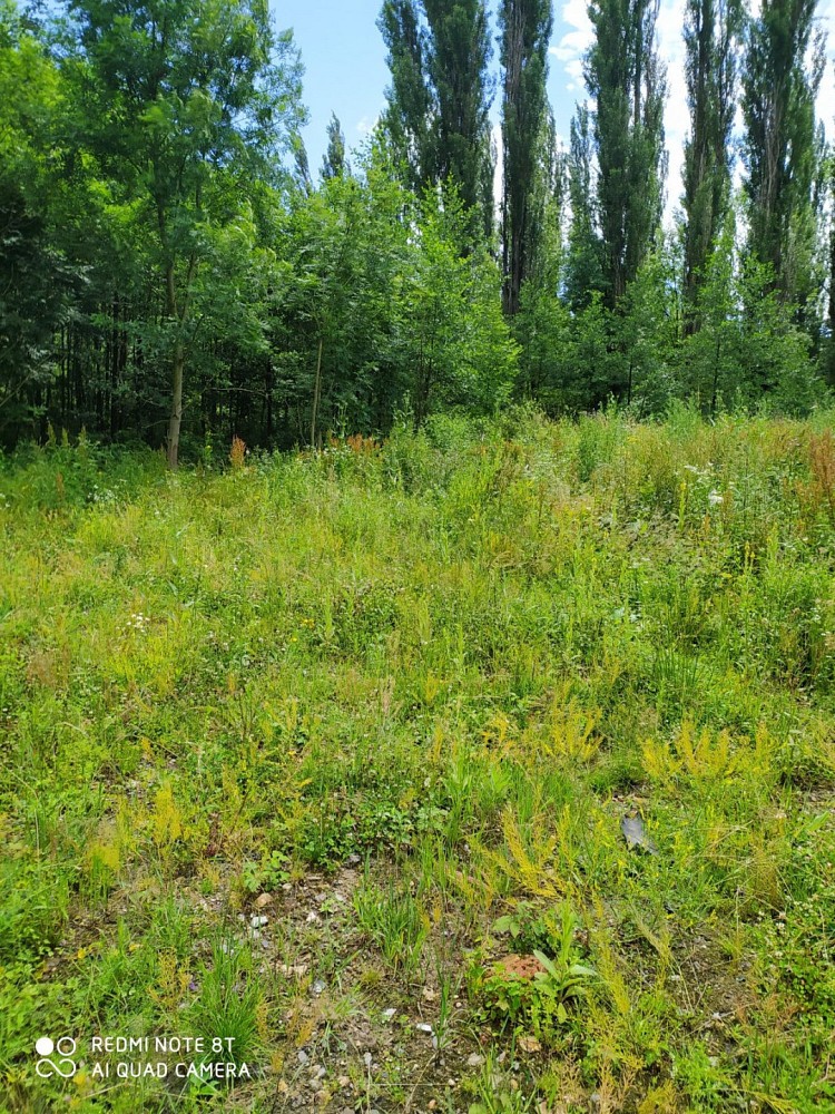 Komerční pozemek · Libouchec, okres Ústí nad Labem - 4