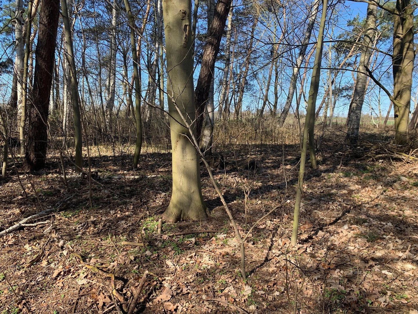 Prodej rodinný dům - , Mecklenburg-Vorpommern, 285 m² - 5