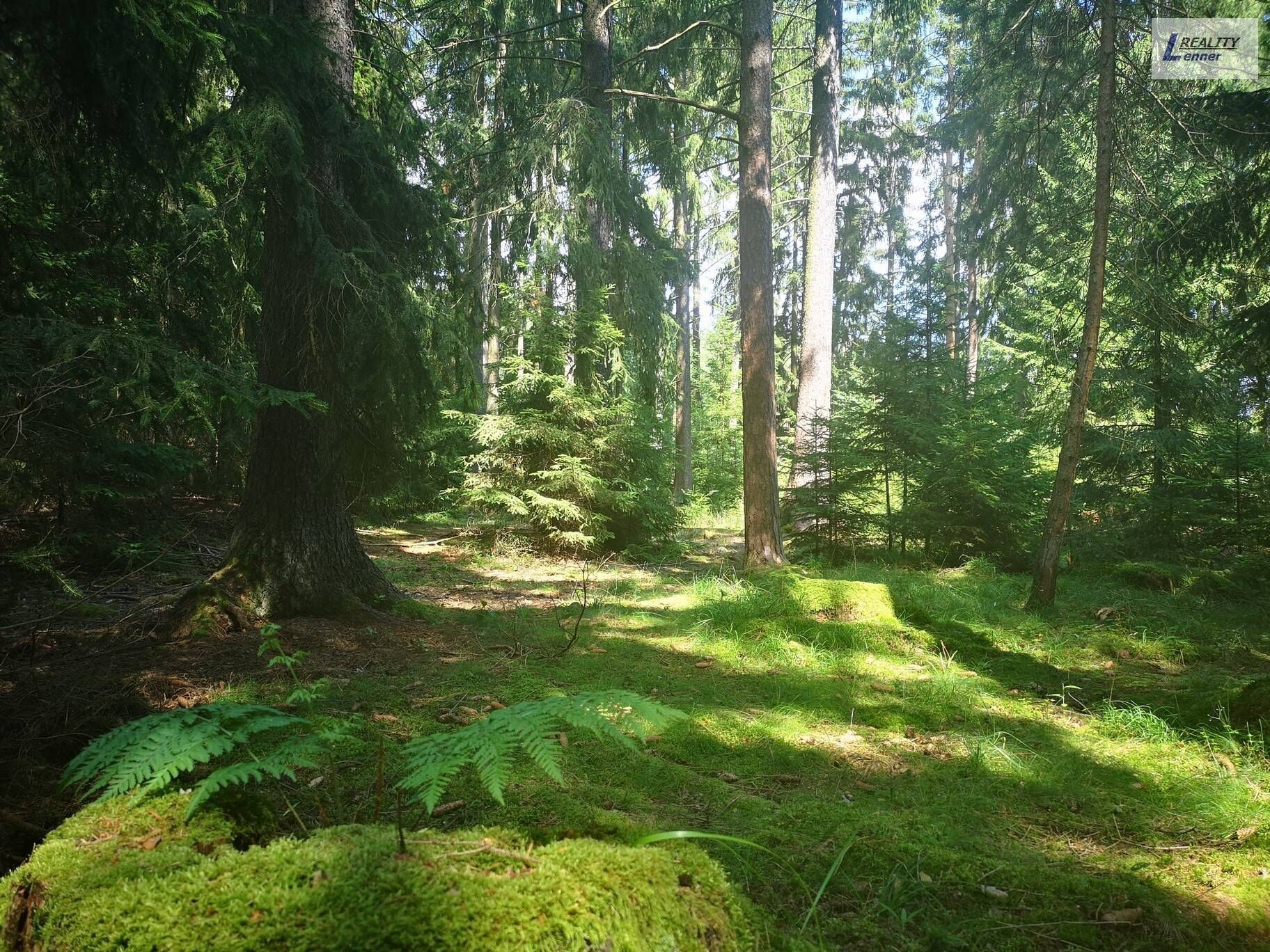 Lesy, Nečín, 59 m²