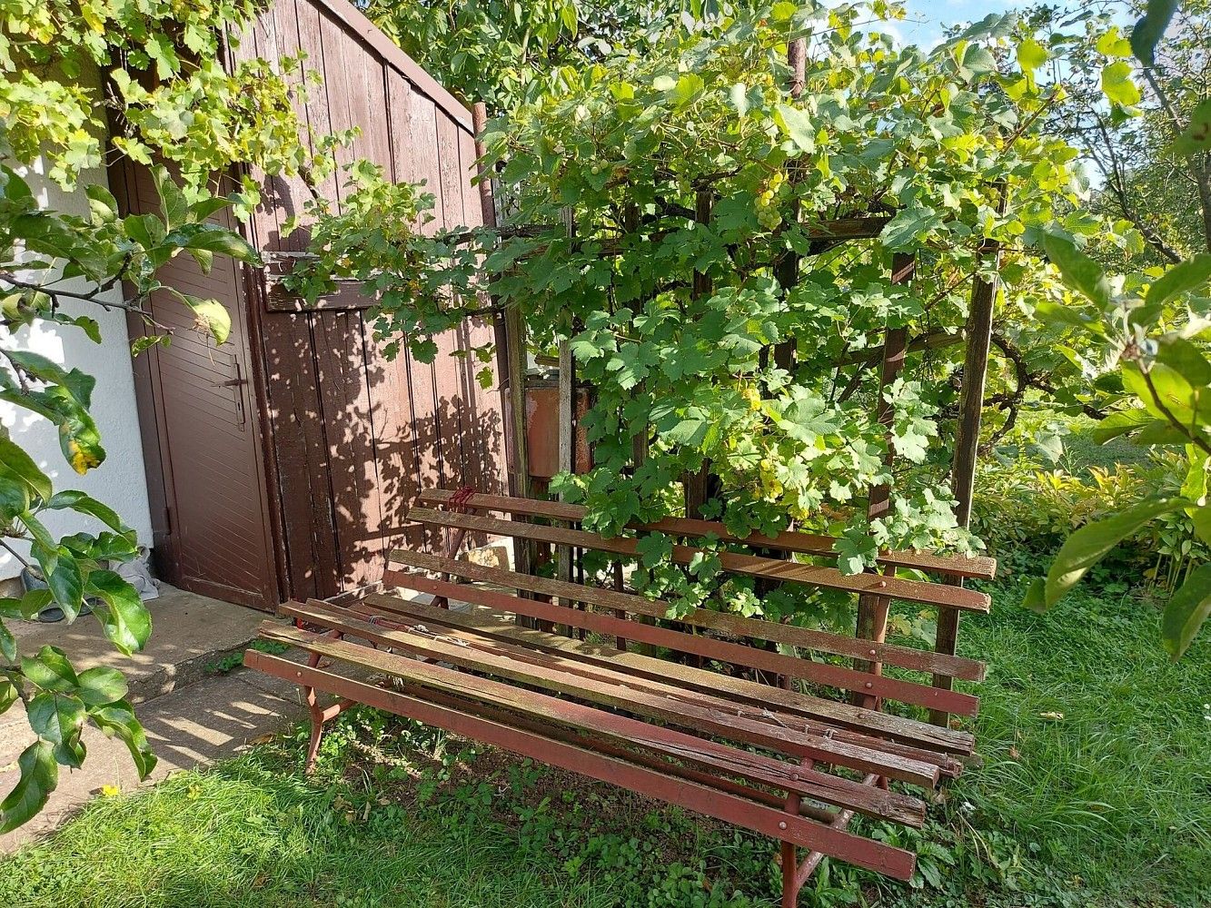 Prodej zahrada - Louny, Ústecký kraj - 5