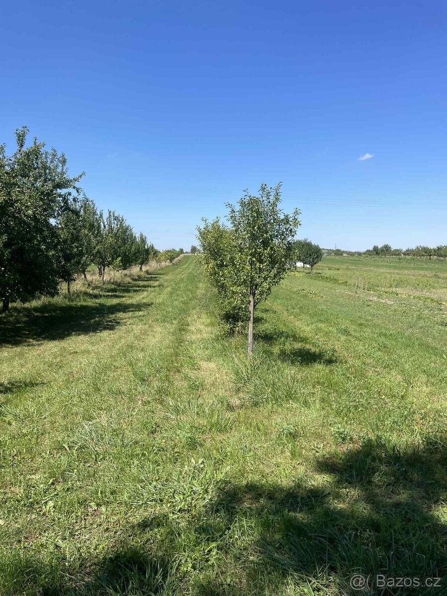 Pozemky pro bydlení, Hroznová Lhota, 696 63