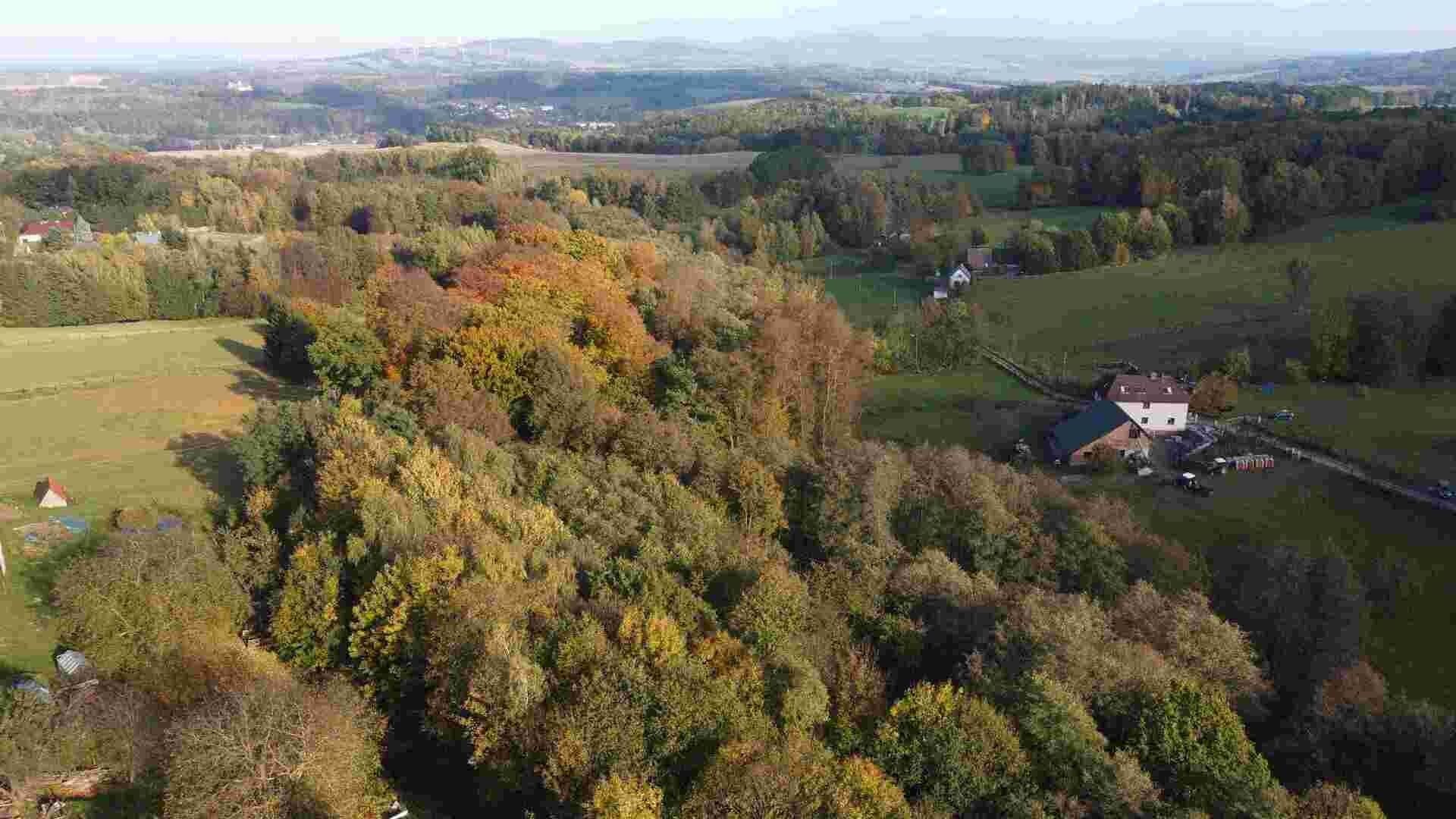 Ostatní, Hrádek nad Nisou Dolní Sedlo, 543 m² - 2