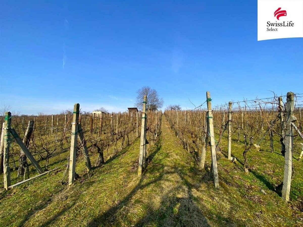 Prodej pozemek pro bydlení - Bzenec, 696 81