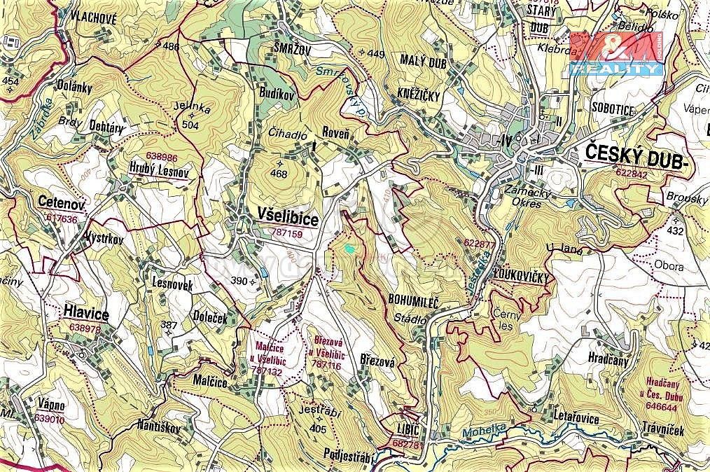 Les · Všelibice, okres Liberec, Liberecký kraj - 3