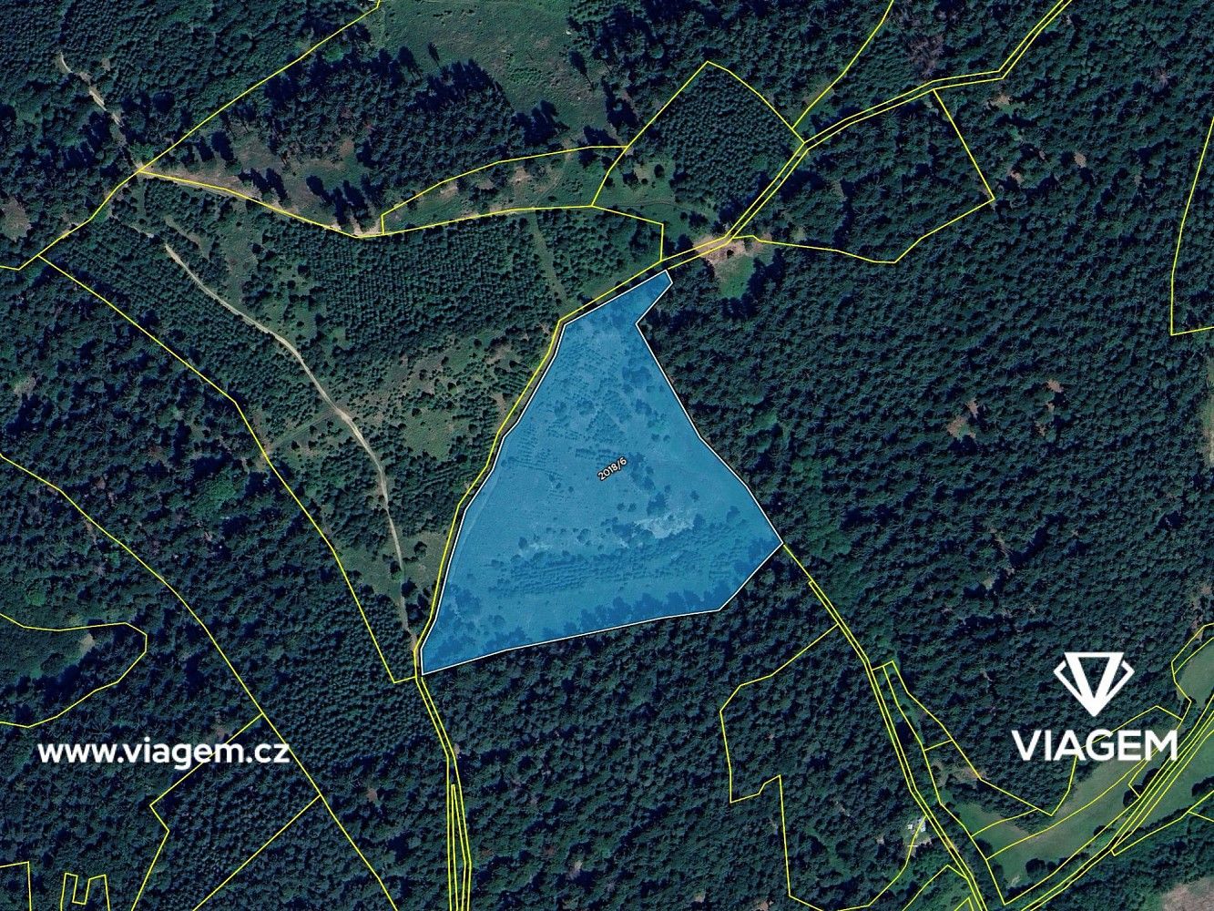 Les · Všemina, okres Zlín, Zlínský kraj - 4