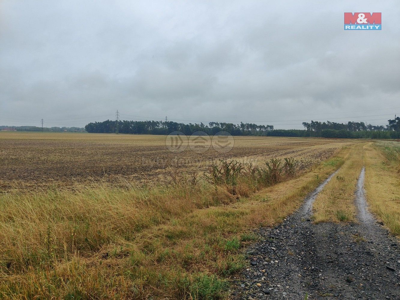 Zemědělský pozemek, 12 454 m²