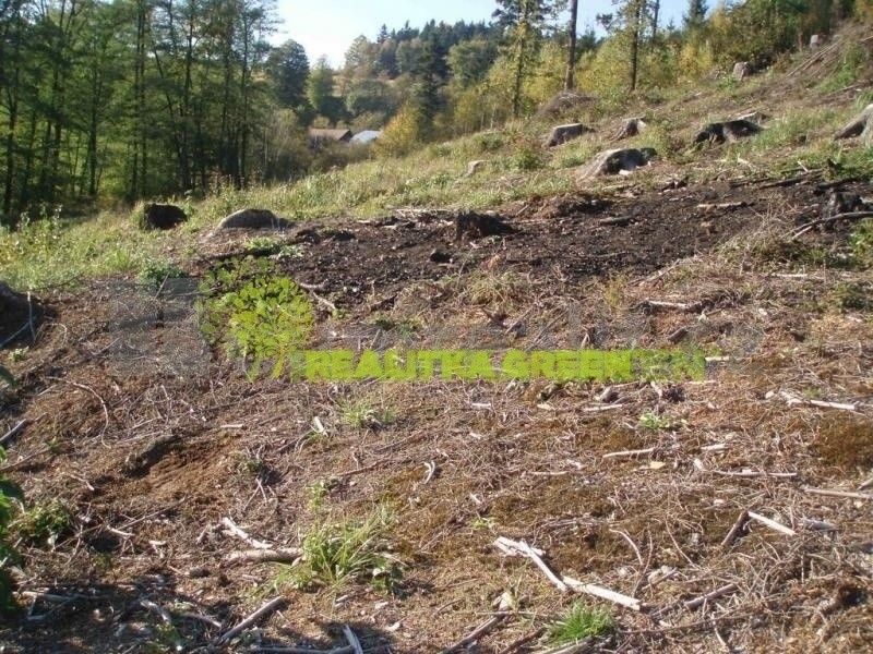 Les · 21 209 m² · Růžďka - 3