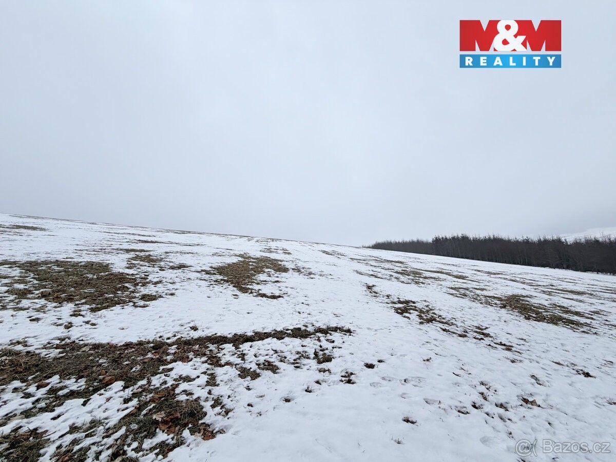 Prodej pozemek pro bydlení - 561 68, Ústí nad Orlicí