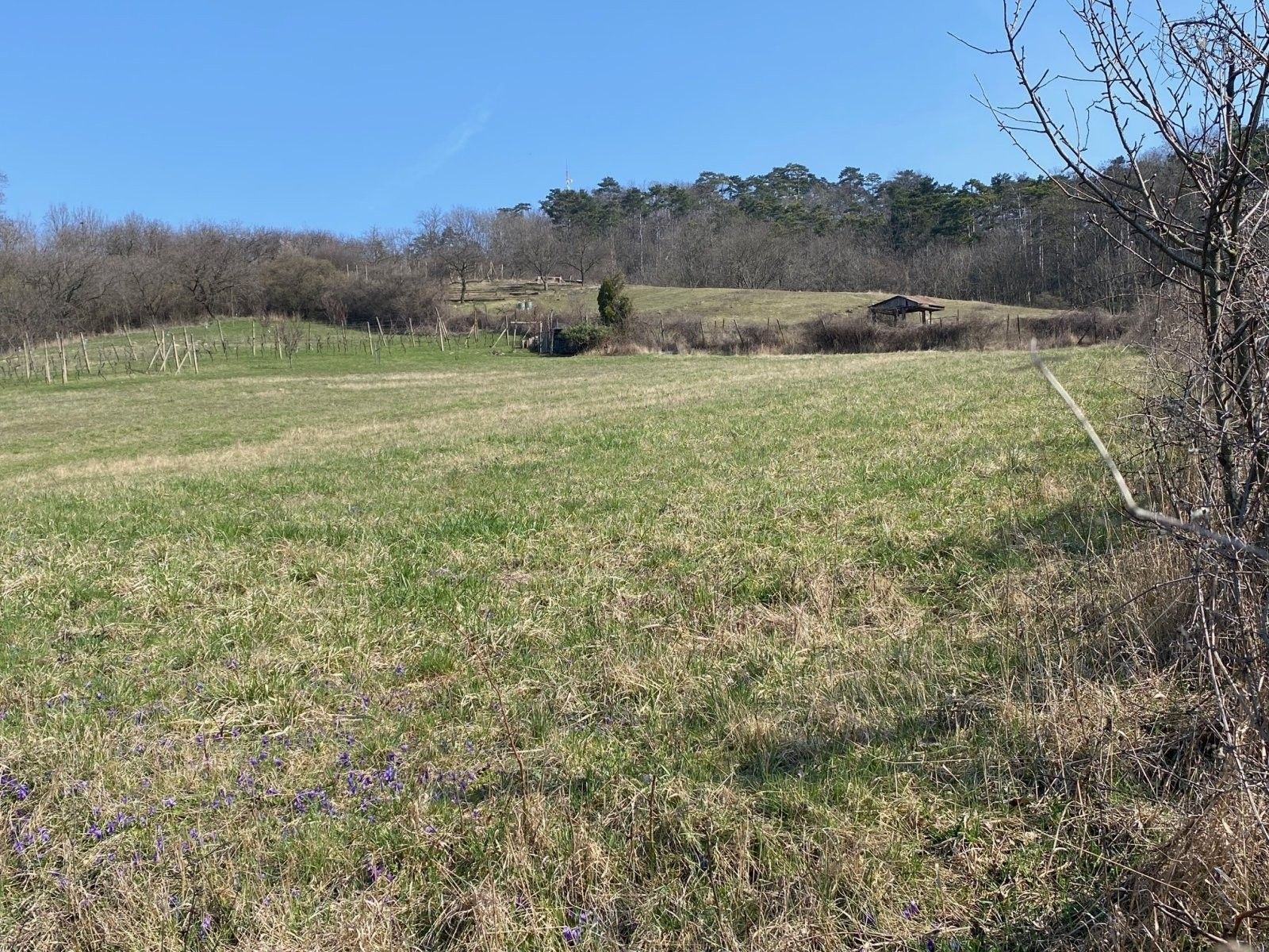 Zahrady, Nová 1, Mikulov, 1 043 m²