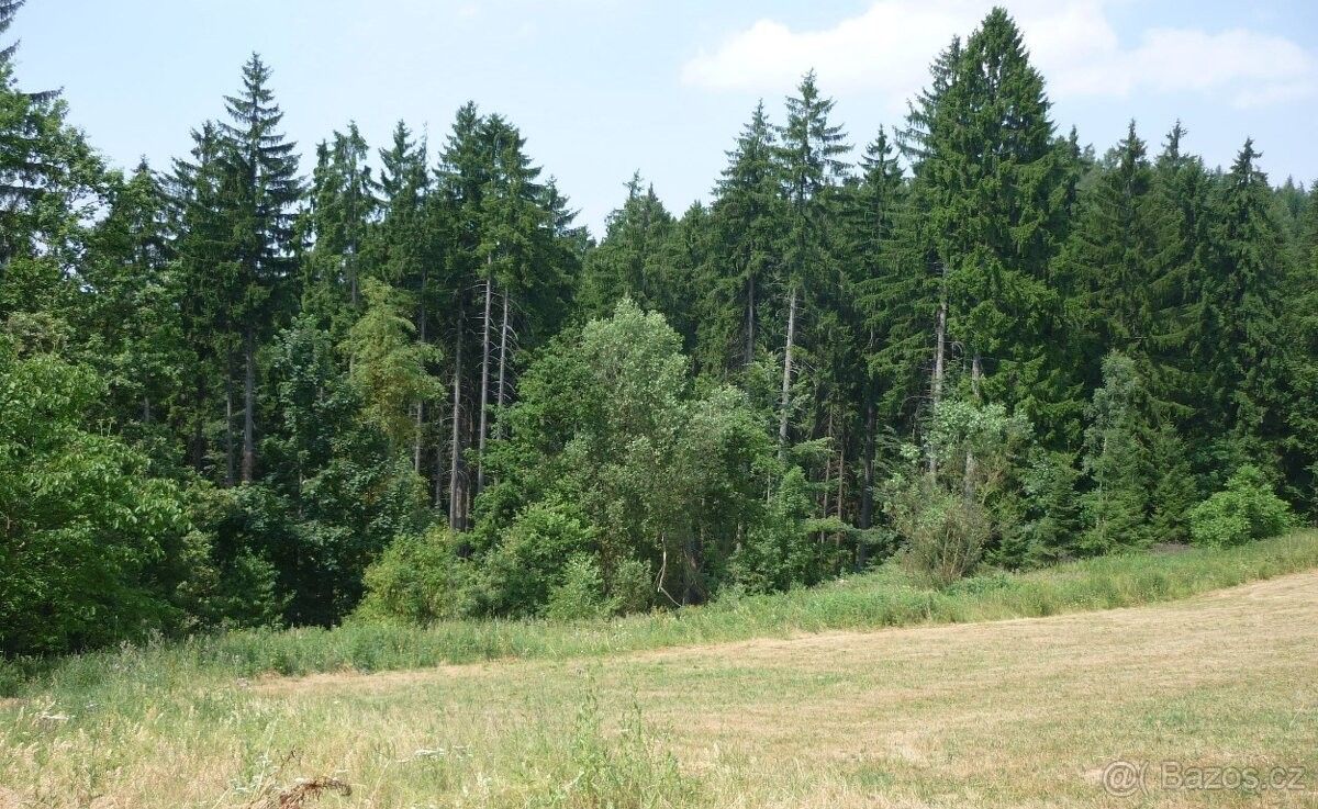 Prodej pozemek pro bydlení - Seč, 538 07 - 5