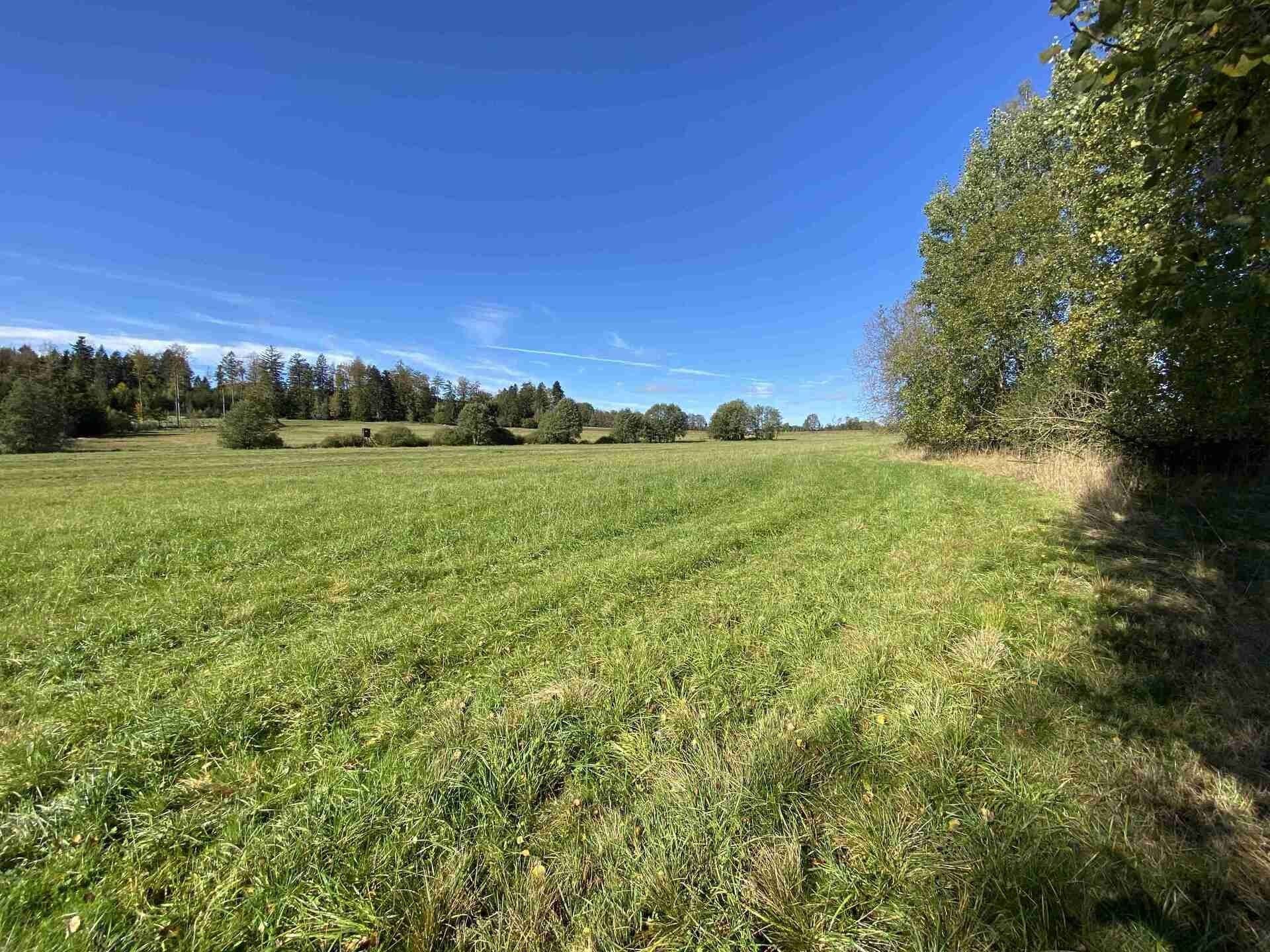 Prodej zemědělský pozemek - Nový Rychnov Čejkov, 4 706 m² - 5