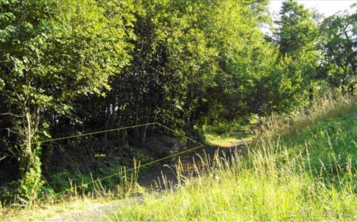 Prodej pozemek pro bydlení - Jeseník, 790 01 - 5