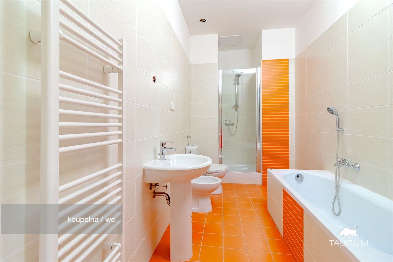 2+1, Rozvojová zóna, Janovice nad Úhlavou, 74 m²