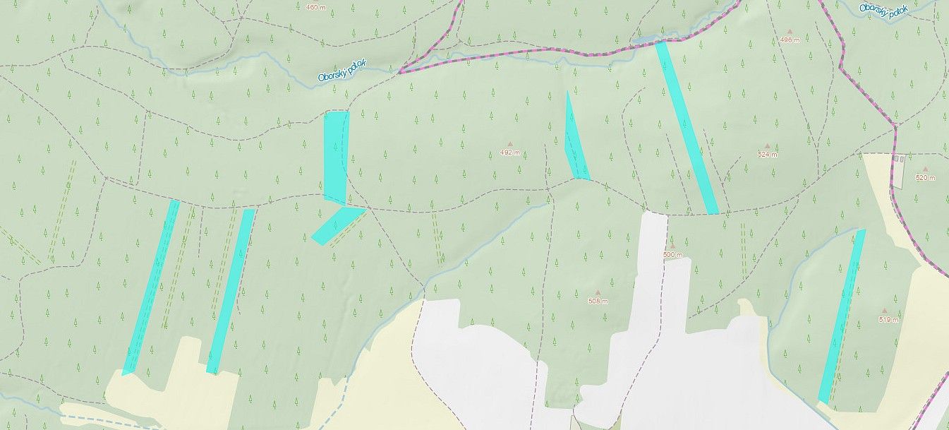 Les · Jetětice, okres Písek, Jihočeský kraj - 4