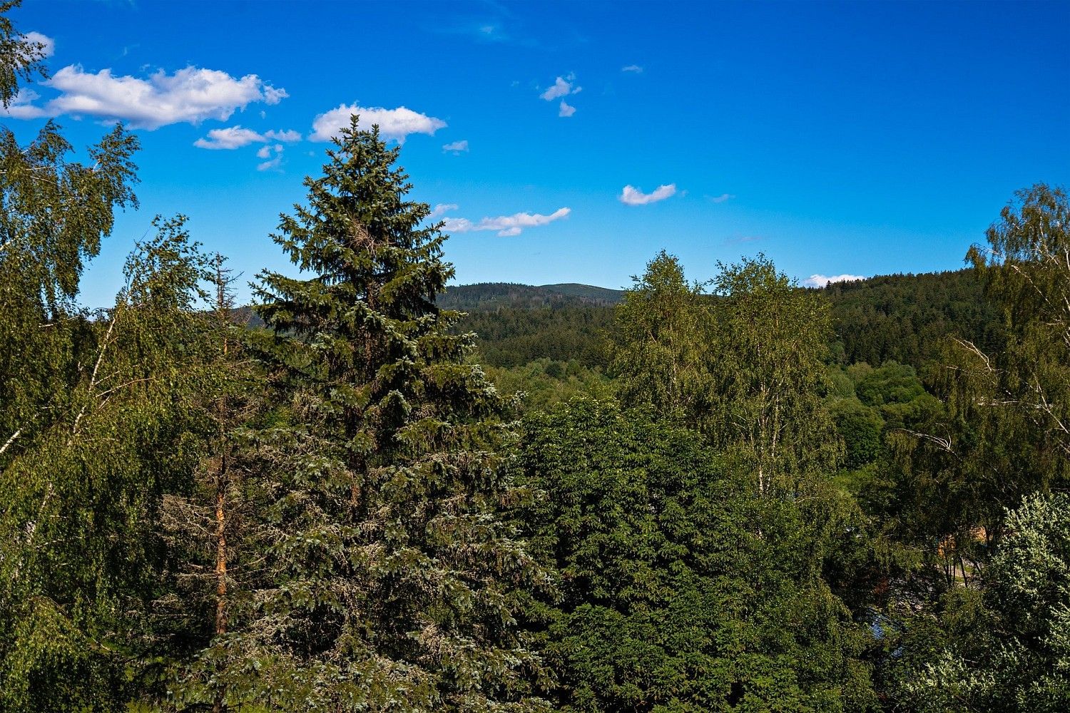 Byt 2+1 · 55 m² · Bayerisch Eisenstein, DE - 3
