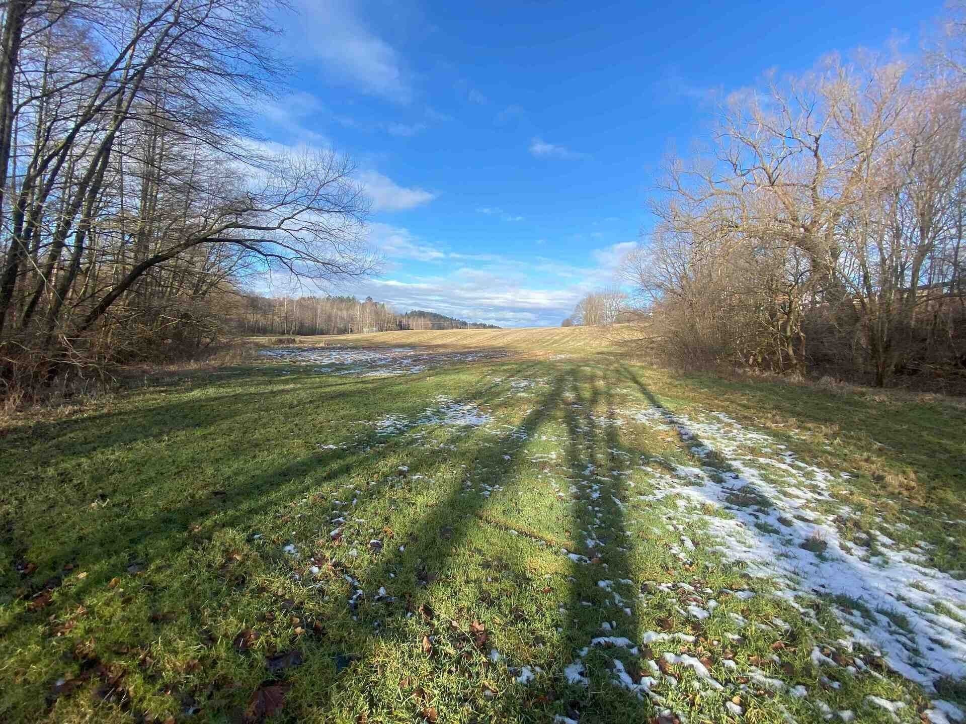 Prodej pozemek - Nová Bystřice, 3 m²