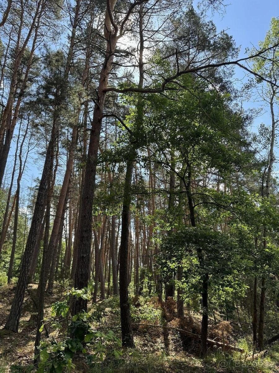 Pozemky pro bydlení, Náměšť nad Oslavou, 675 71