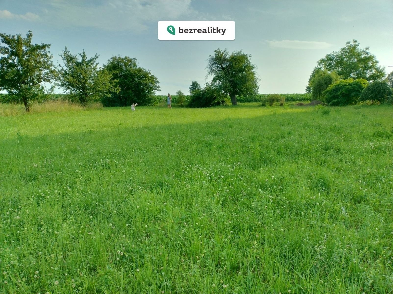 Prodej pozemek pro bydlení - Střevač