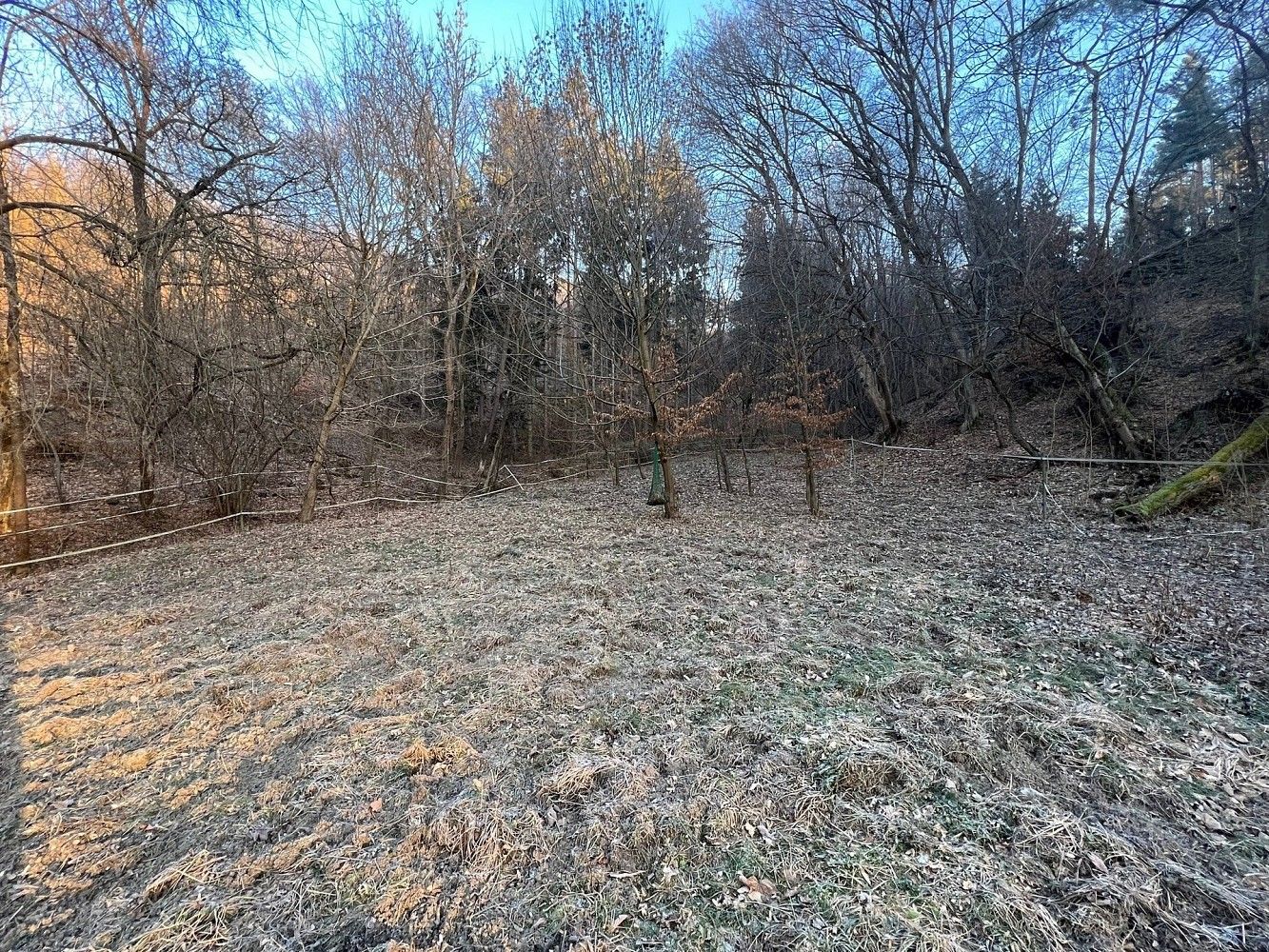 Prodej louka - Malé Kyšice, okres Kladno, Středočeský kraj - 5