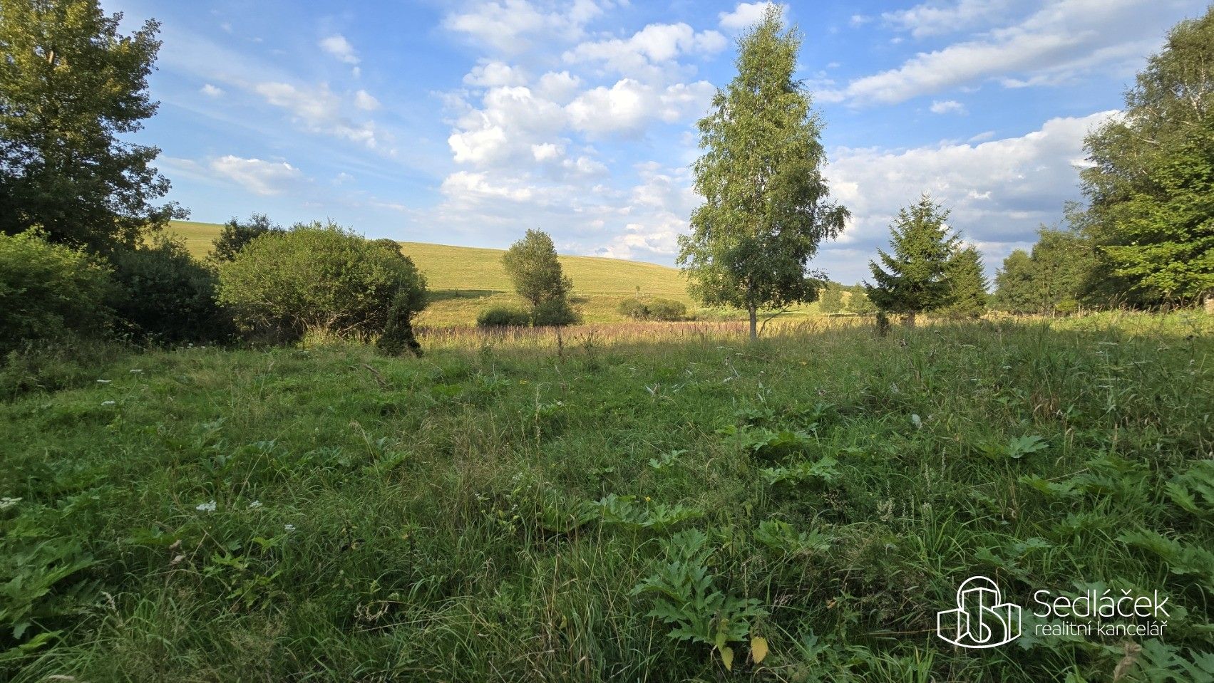 Prodej pozemek - Rovná, 8 130 m²