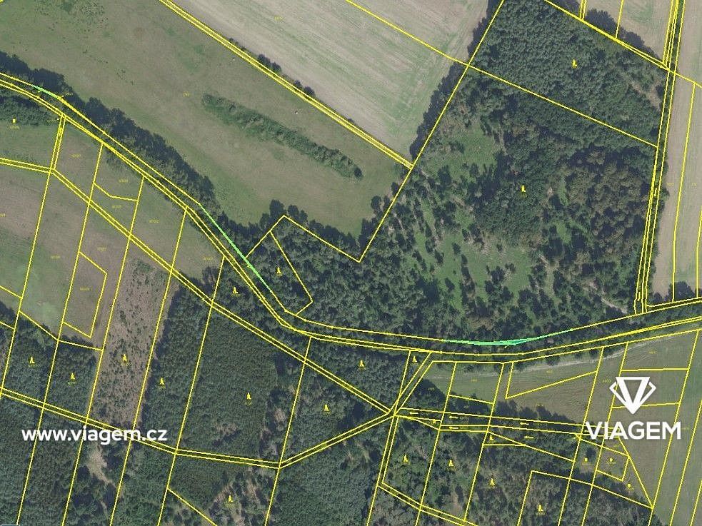 Les · Sokoleč, okres Nymburk, Středočeský kraj - 3