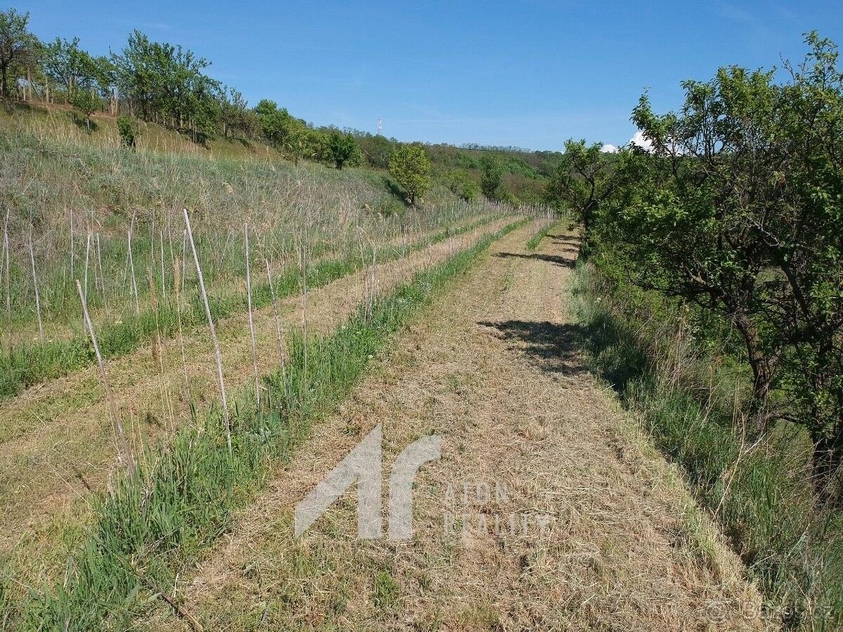 Prodej pozemek pro bydlení - Křepice u Hustopečí, 691 65 - 5