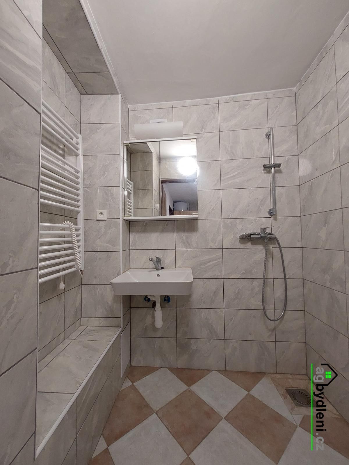 Pronájem byt 3+1 - Mánesova, Stříbro, 130 m²