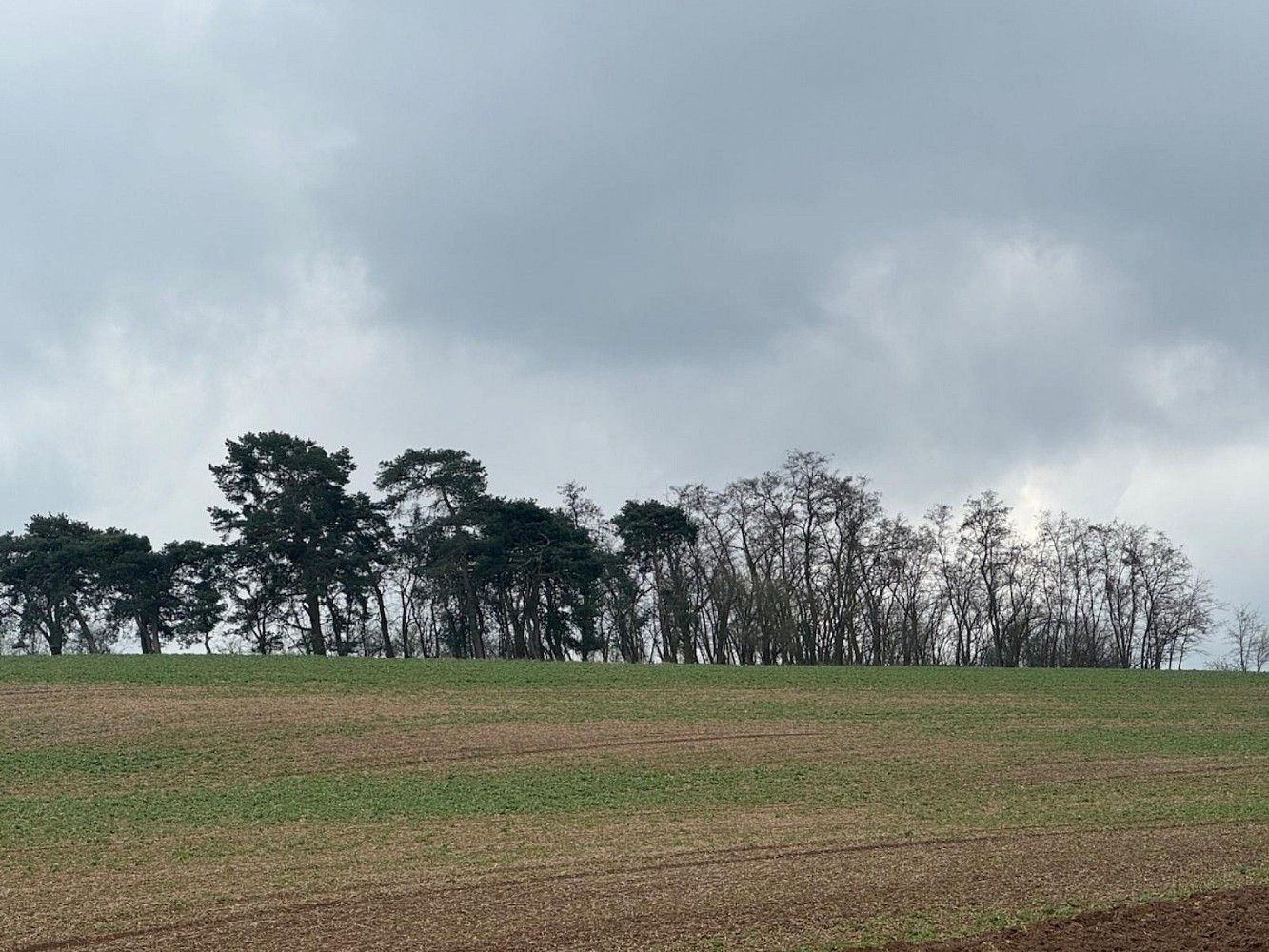 Les, 1 690 m²