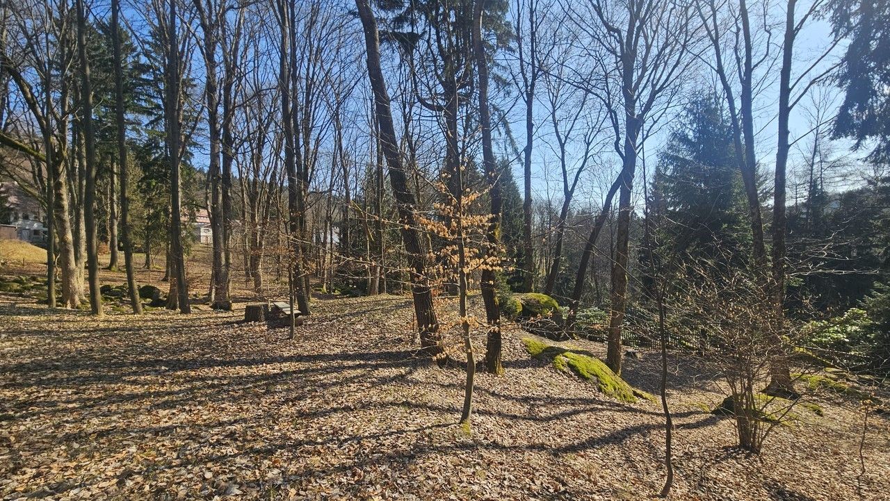 Pozemek pro bydlení · 11 396 m² · Janov nad Nisou - 4